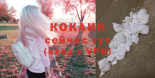 стаф Балахна