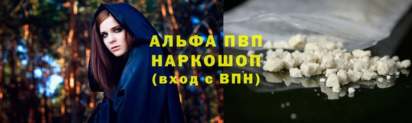 эйфоретик Баксан