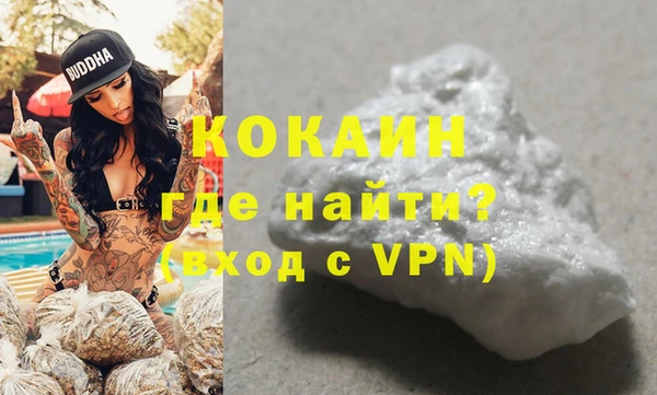 стаф Балахна