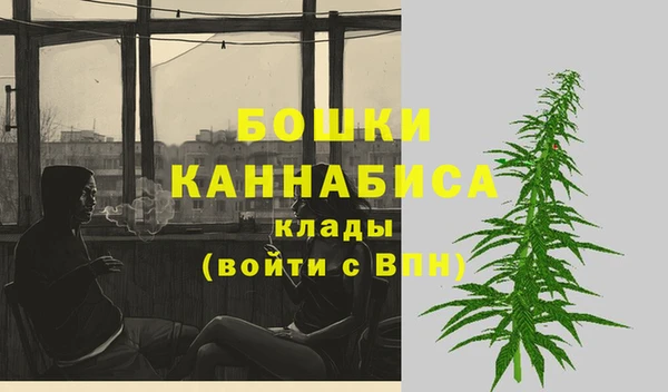 эйфоретик Баксан