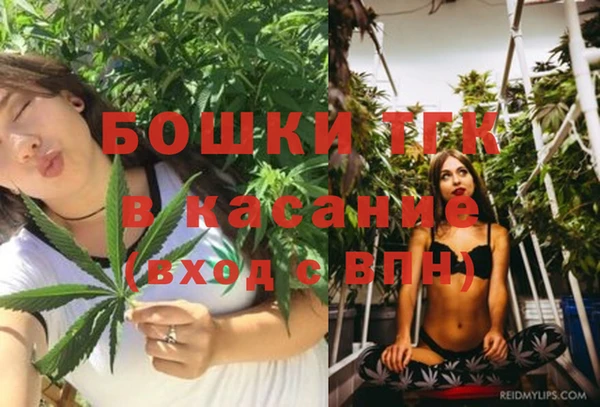 стаф Балахна